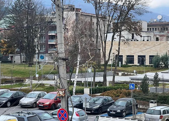 The Cohen's Guest house